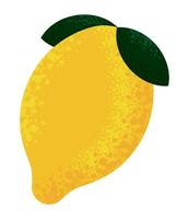 lemon fruit icon vector