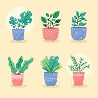six houseplants in pots vector