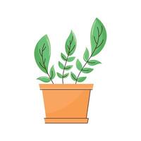 houseplant in pot vector