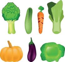 healthy and fresh vegetables, vector realistic