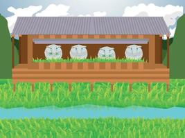 conjunto de granja de ovejas de ilustración vectorial vector