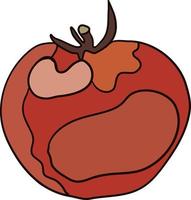 Drawing of red tomato, illustration, vector on white background.