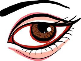 Brown eyes, illustration, vector on white background.