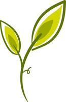 Green leaves, illustration, vector on white background.