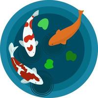 Koi carp, illustration, vector on white background