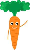 Fresh carrot, illustration, vector on white background.