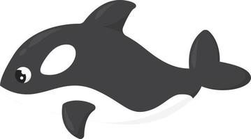 Killer whale, illustration, vector on a white background.