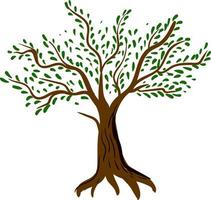 Tree with leaves, illustration, vector on white background.
