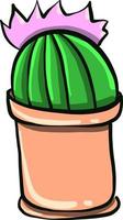 Cactus with a flower,illustration,vector on white background vector