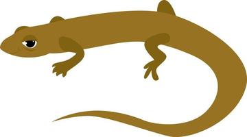 Little lizard, illustration, vector on white background.