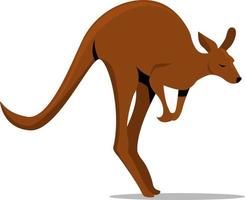 Kangaroo jumping, illustration, vector on white background