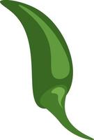 A green jalapeno, vector or color illustration.