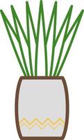 Rubber plant in pot, illustration, on a white background. vector