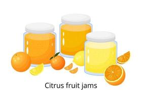 Cartoon citrus jams. vector