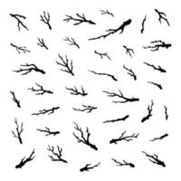 Set of tree branches and twigs. vector