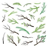 Set of hand drawn twigs and branches. vector