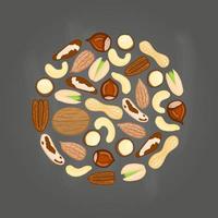 Doodle nuts in circle. vector