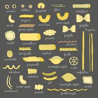 Diferentes tipos de pasta italiana. vector