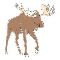 wild moose color drawn vector