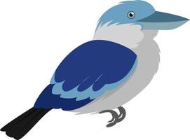 pájaro kookaburra, ilustración, vector sobre fondo blanco