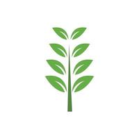 Green leaf illustration vector