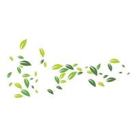 Leaves fall background vector