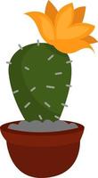 Cactus with a flower, illustration, vector on white background