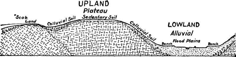 Classes of soil, vintage illustration. vector