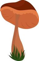 Lonely mushroom, illustration, vector on white background.