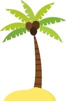 Coconut tree, illustration, vector on white background.