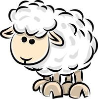 Sheep drawing, illustration, vector on white background.