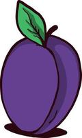 Purple plum, illustration, vector on white background