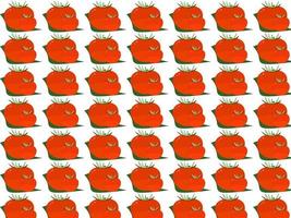 Tomato wallpaper, illustration, vector on white background.