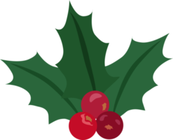 ícone de visco de natal png