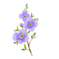 aquarelle de fleurs sauvages violettes png