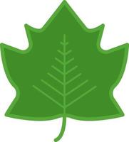 Big flat leaf, illustration, on a white background. vector