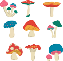 velenoso e commestibile fungo cartone animato, contorno icone nel impostato collezione per design. diverso tipi di funghi simbolo azione ragnatela illustrazione. png