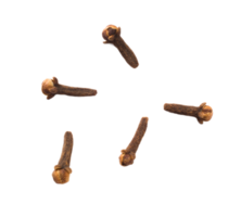 kruidnagel PNG vrij