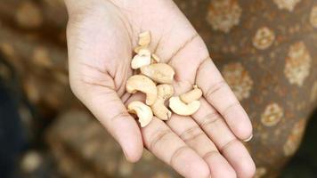 småätande på cashewnötter från hand video