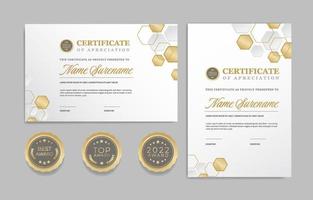 plantillas de certificado profesional vector