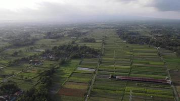luchtfoto van indonesië traditioneel dorp en rijstveld. video