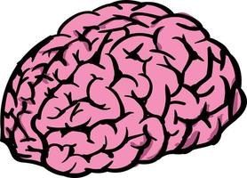 Human brain, illustration, vector on white background.