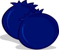 A pair of blueberrys, illustration, vector on white background.