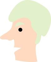 Man with very long nose and green hair, illustration, vector, on a white background. vector