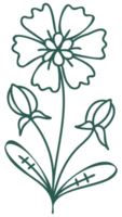 élément de conception botanique linéaire d'art de ligne florale. dessins de fleurs avec une ligne fine. collection de fleurs noyées à la main en fleurs, dessin de contour. png avec fond transparent.