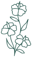 Floral line art linear botanical design element. Flower drawings with thin line. Collection of blooming hand drown flower, contour drawing. PNG with transparent background.