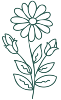 Floral line art linear botanical design element. Flower drawings with thin line. Collection of blooming hand drown flower, contour drawing. PNG with transparent background.