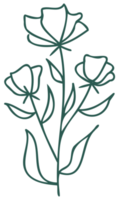 Floral line art linear botanical design element. Flower drawings with thin line. Collection of blooming hand drown flower, contour drawing. PNG with transparent background.