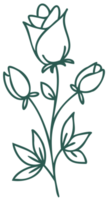 élément de conception botanique linéaire d'art de ligne florale. dessins de fleurs avec une ligne fine. collection de fleurs noyées à la main en fleurs, dessin de contour. png avec fond transparent.