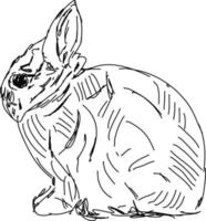 Rabbit drawing, illustration, vector on white background.